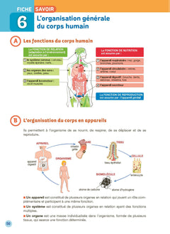 CAP AEPE tout-en-un 2025-2026