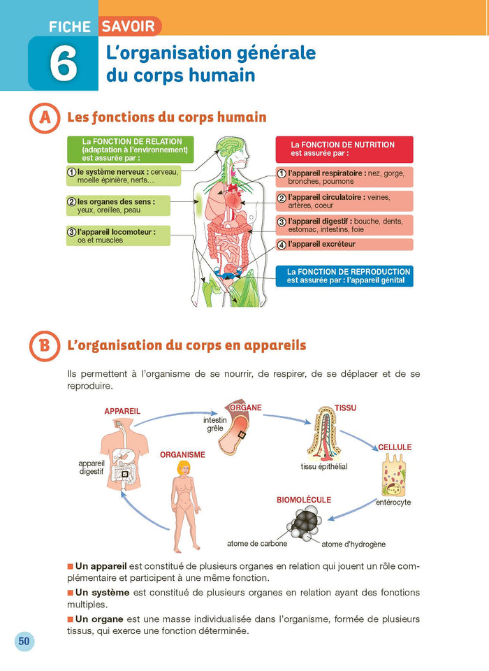CAP AEPE tout-en-un 2025-2026