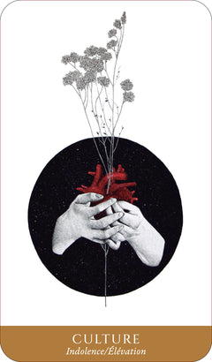 Coffret L'Oracle du miroir de l'âme