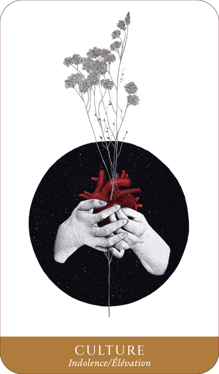 Coffret L'Oracle du miroir de l'âme