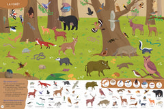 1000 animaux - Cherche et trouve