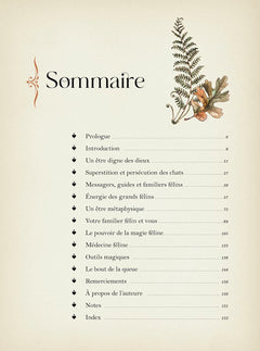 Petit Guide de magie féline - Maîtrisez les pouvoirs des félins grâce à leur histoire, leurs comportements et leurs messages