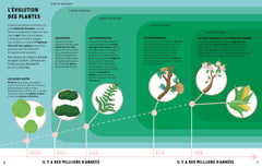La vie secrète des arbres