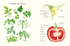Le Conservatoire de la Tomate - Savoir-faire de La Bourdaisière &middot; 50 variétés à cultiver