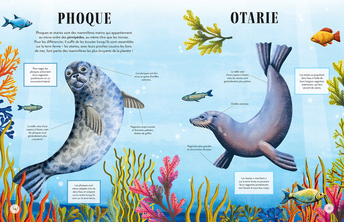 Qui est qui ? - Différencie les animaux qui se ressemblent
