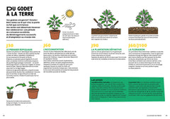100 piments à cultiver et à déguster : ça va piquer !
