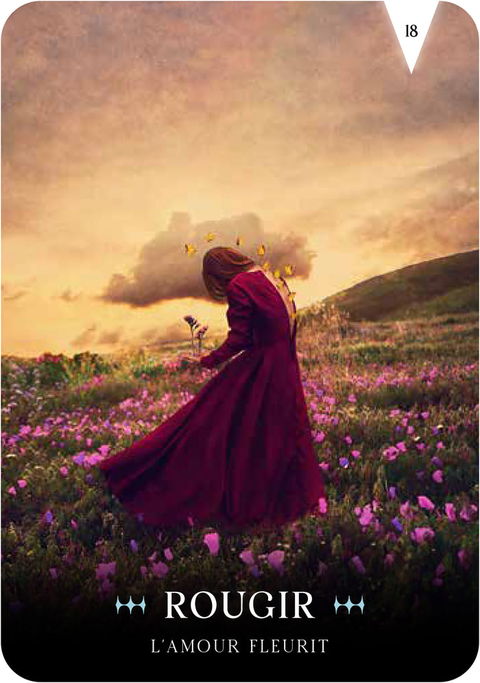 Coffret Shadow Work - Révélez votre part d'ombre