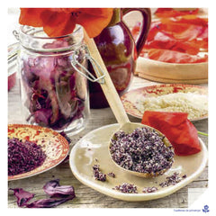 Balade médicinale au fil des saisons