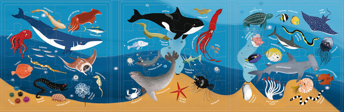 Les animaux des mers