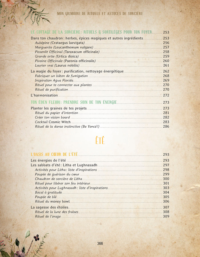 Mon grimoire de rituels & astuces de sorcière