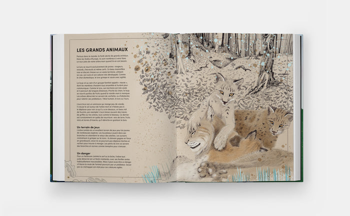 Quand un arbre tombe