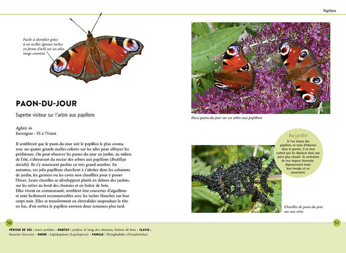 Reconnaître facilement les animaux du jardin