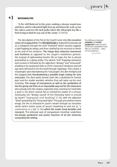 The Literary Commentary in English - A Survival Kit