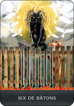 Coffret Le Tarot des chats mystérieux