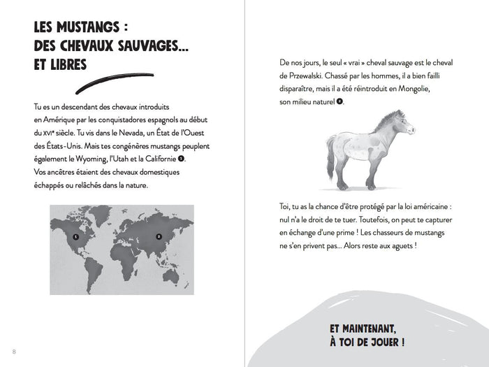 Tu es le héros ! Dans la peau d'un mustang