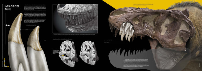 T-rex - Le roi des dinosaures - Nouvelle édition