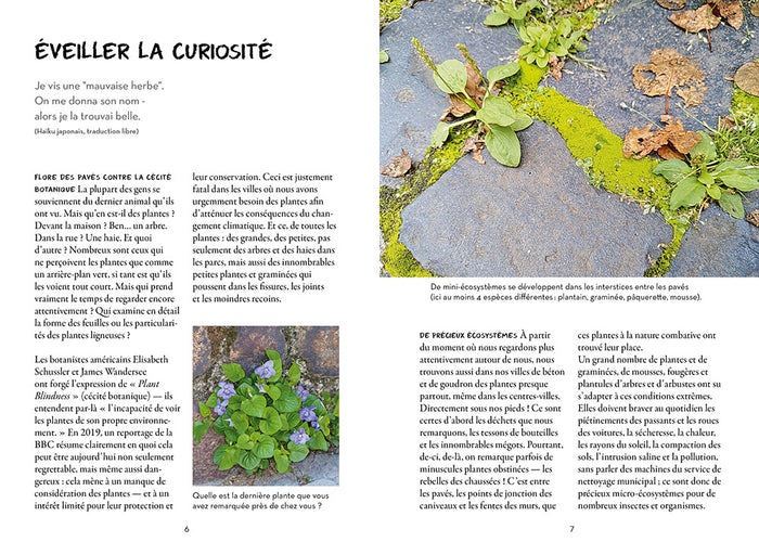 Qu'est-ce qui pousse dans ma rue ?