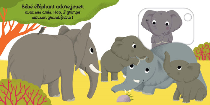 On s'amuse, petit éléphant ?