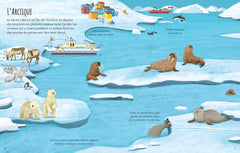 La planète Terre - Premiers autocollants