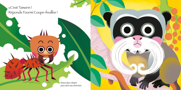 Les animaux de la jungle - Qui se cache ?