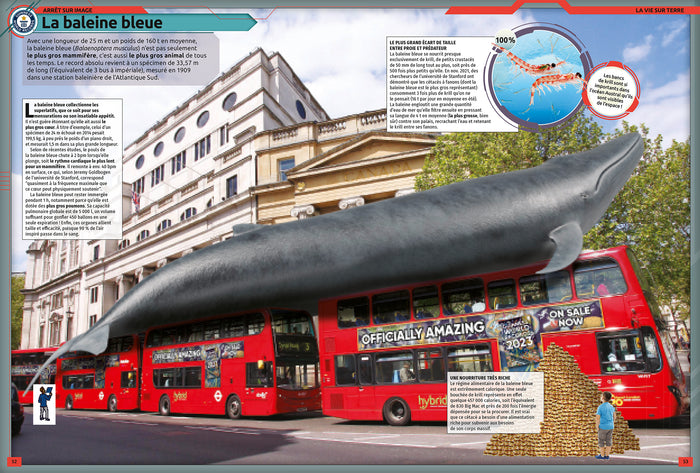 Guinness World Records 2023