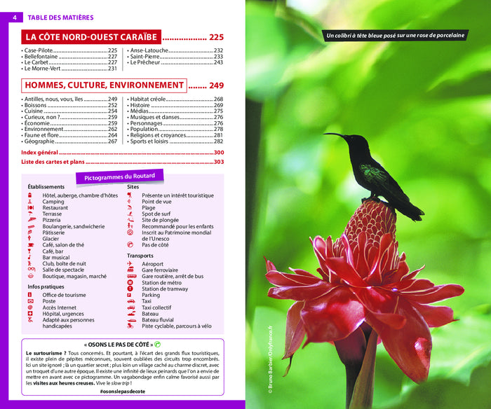 Guide du routard Martinique