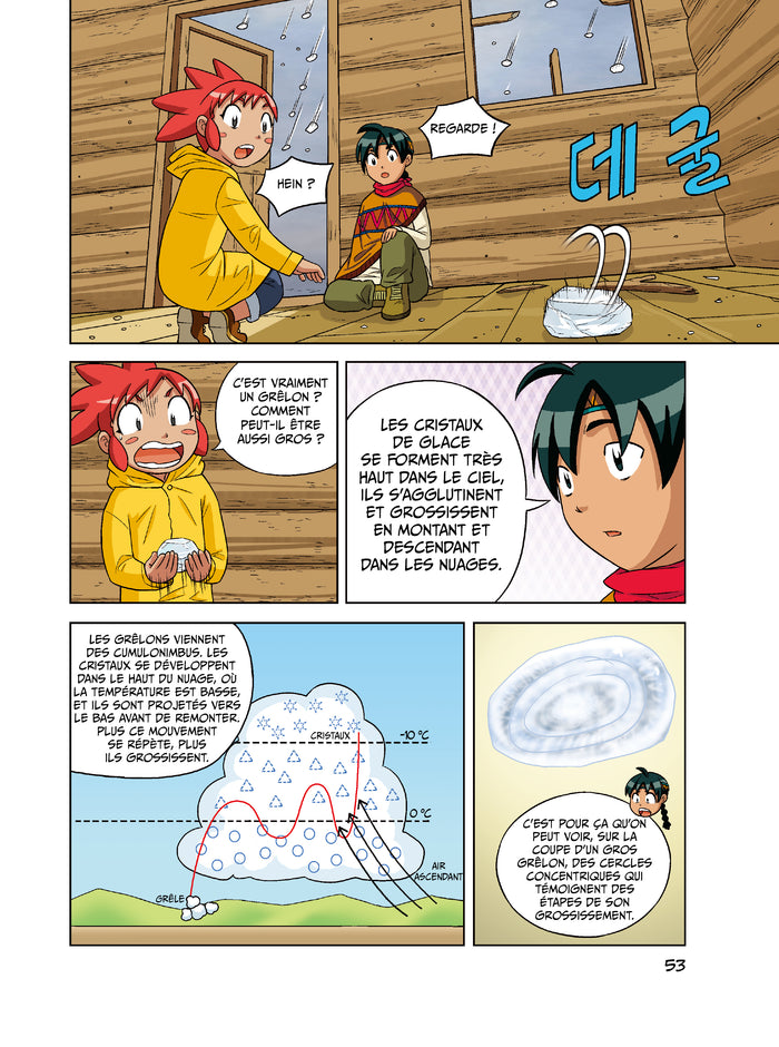 Comment survivre à une tornade ?