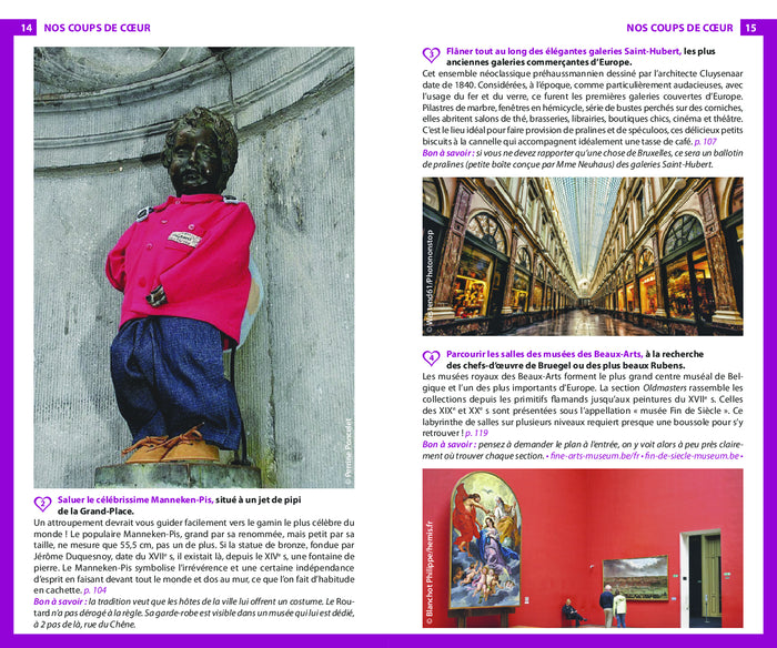 Guide du Routard Bruxelles 2023/24