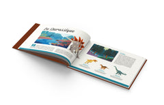 Cherche et Trouve Dinosaures