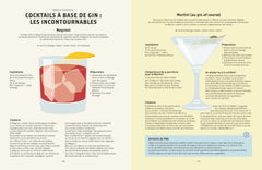 Le gin c'est pas sorcier