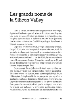 Un Français dans la Silicon Valley