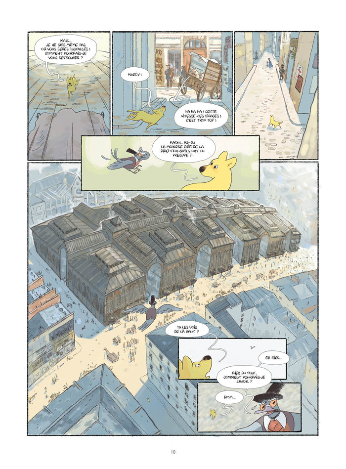 Ecoline - histoire complète