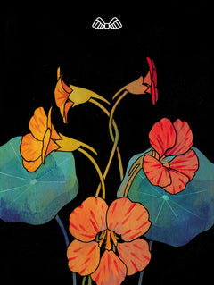 Tarot Botanica