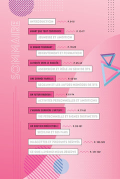 BTS Seokjin, la biographie non-officielle