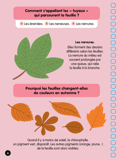 La forêt