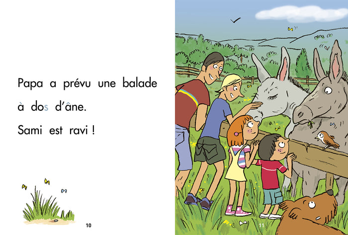 Sami et Julie Début de CP - 5 histoires Spécial animaux