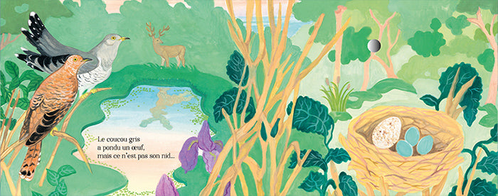 Chants d'oiseaux de la forêt