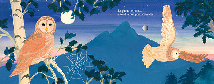 Chants d'oiseaux de la forêt