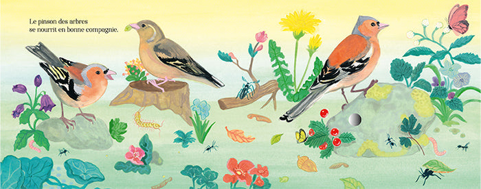 Chants d'oiseaux de la forêt