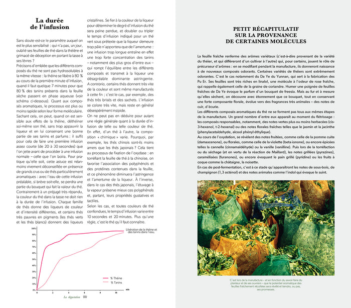 Le guide de dégustation de l'amateur de thé - Nouvelle édition