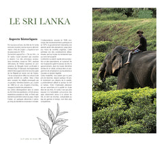 Le guide de dégustation de l'amateur de thé - Nouvelle édition