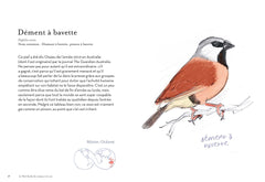 Petit guide des oiseaux à la con
