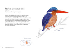 Petit guide des oiseaux à la con
