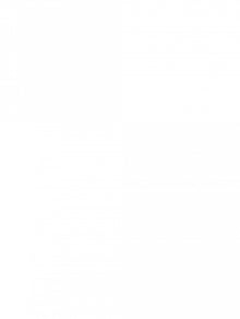 Le Premier miracle - Tome 02