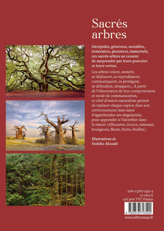Sacrés arbres !