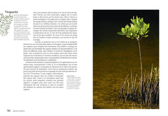 Sacrés arbres !