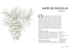 Sacrés arbres !