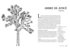 Sacrés arbres !