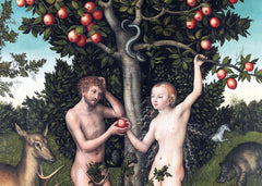 Arbres. Coffret l'essentiel