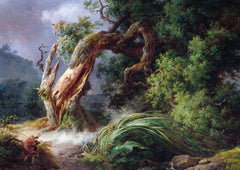 Arbres. Coffret l'essentiel
